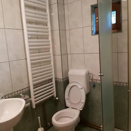 Casa De Vacanta Padis Breb