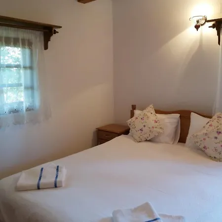 Casa De Vacanta Padis 3* Breb