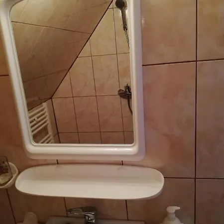 Guest house Casa De Vacanta Padis 3*