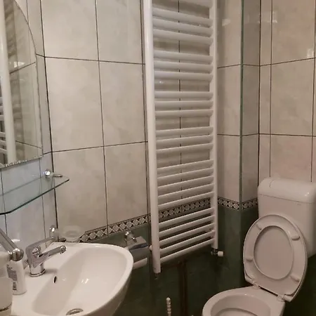 Casa De Vacanta Padis Breb