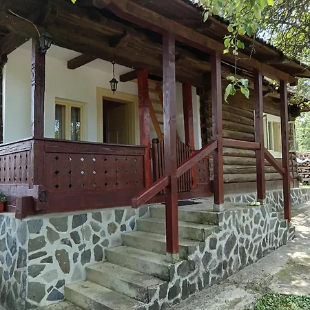 Casa De Vacanta Padis Guest house